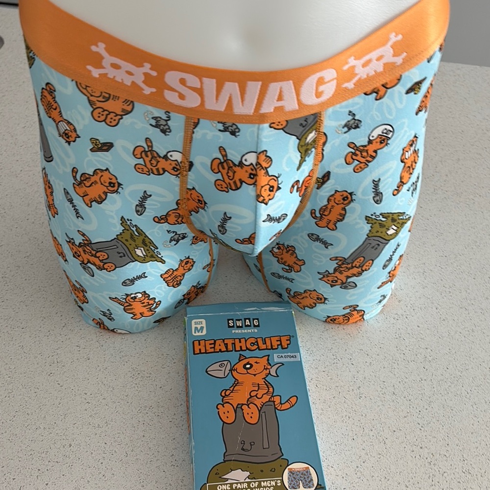 Heathcliff Cartoon Boxer Briefs